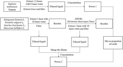 Zengshengping improves lung cancer by regulating the intestinal barrier and intestinal microbiota